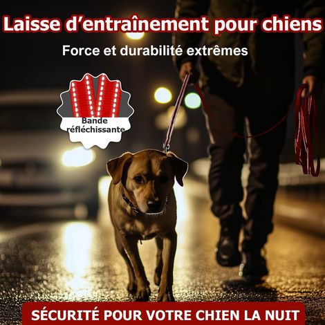 Laisse de dressage pour chien robuste et réfléchissante 3/4 pouces - 2,5m (1/5)
