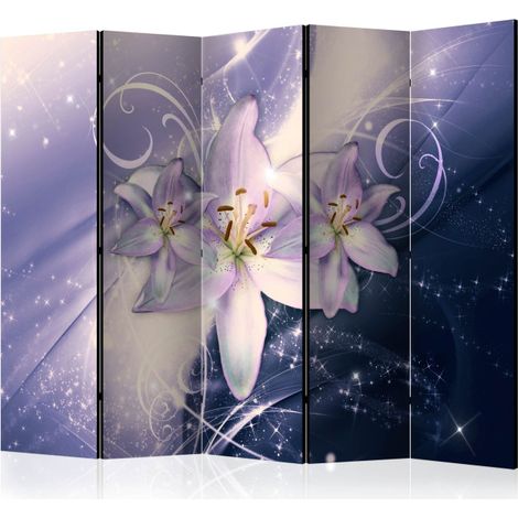 Paravent 5 Volets "Wintry Galaxy" 172x225cm (1/2)