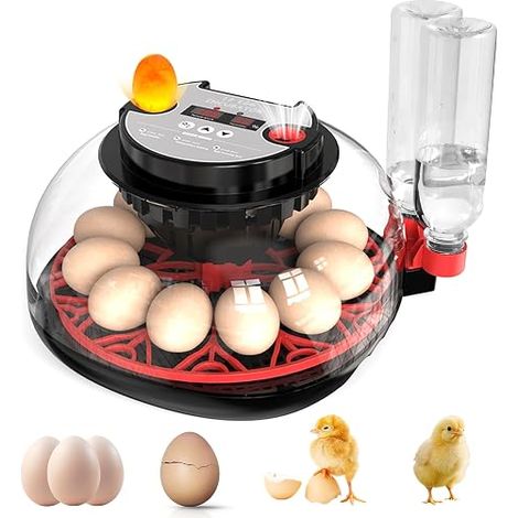Automatic Egg Incubator, 12 Eggs Automatic Incubator with Automatic Turning System and Temperature Control, Humidity Display, for Chicken Duck Quail Egg Hatching (1/5)