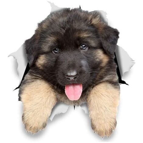Autocollants Chiens Muraux 3D - Paquet de 2 - Stickers Berger Allemand Chiot Pour Mur - Frigo - Toilette - Salle - Voiture - Réfrigérateur11x12CM (1/4)