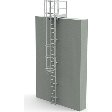 Scala gabbia acciaio zincato- Alt. raggiungibile 1,96 a 2,60m - CRINO-PF-AG-2/CF