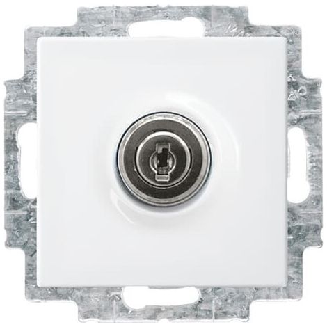 Busch-Jaeger SCHUKO® Inserto de enchufe Safety+ con tapa abatible y cierre diferente blanco alpino - Busch-balance® SI (20 EUKBSL-914), 2CKA002018A1513