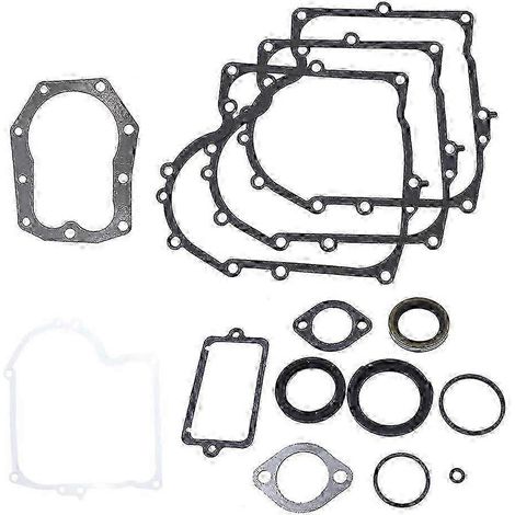 Joints de rechange pour moteur vertical de tondeuse à gazon For & Stratton 12HP 12,5HP, références 494241, 490525 et 480-149 (1/5)