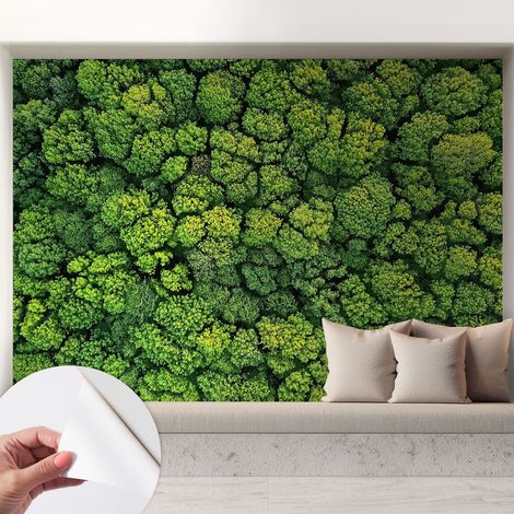 Papier peint autocollant adhésif avec imprimé motifs uniques apparence moderne Panorama forestier 208x146 cm (1/5)