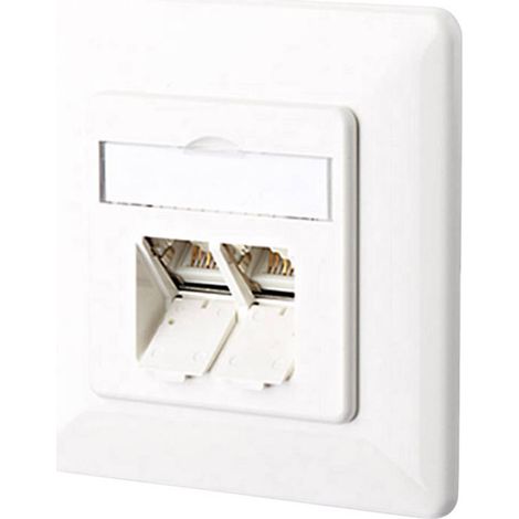 Prise réseau encastré insert avec plaque centrale et châssis CAT 6a 2 ports Metz Connect 130C381002-I blanc pur R07374 (1/2)