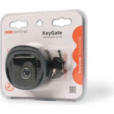 Schlüsselschalter - KeyGate - IP44 - 12/24V - Vandalismusgeschützter Schalter - 2 mitgelieferten Schlüssel