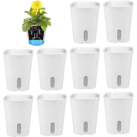 10 macetas de plástico con sistema de autorriego para cactus y mecha - Juego de mini macetas para plantas de interior (1/5)