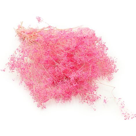 Stabilisierter Gips MINI - (Gypsophila) - Rosa