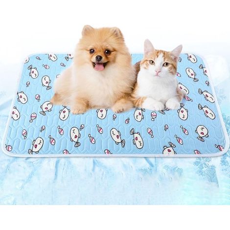 Tapis rafraîchissant XXL pour chien et chat – 90x70 cm – Bleu – Soie glacée – Absorbant la température – Antidérapant et lavable – Grandes races (1/5)
