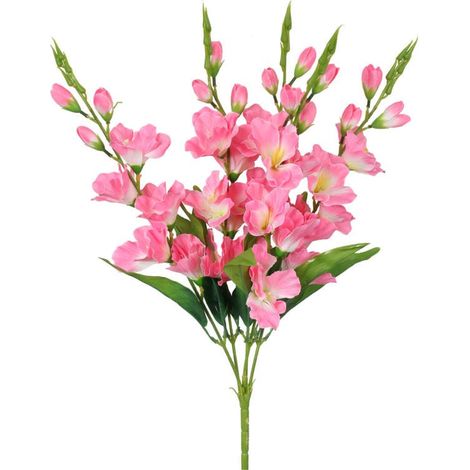 Bouquet de 5 glaïeuls rose pâle (1/4)