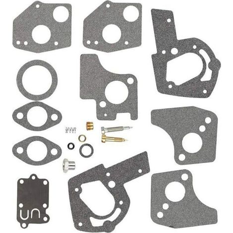 Kit De Réparation Carburateur - Compatible Briggs 494624 495606 130202 130293 - Pour Moteurs Thermiques - 1 Pièce (1/5)