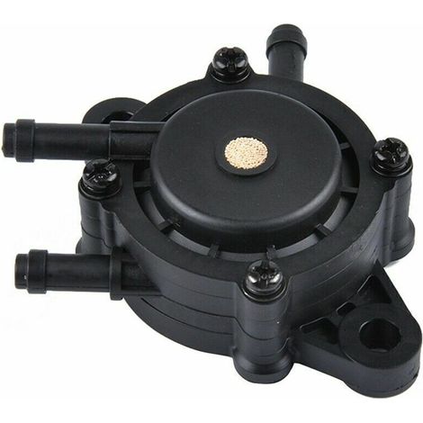 Pompe à essence pour moteur de tracteur tondeuse ou autrem