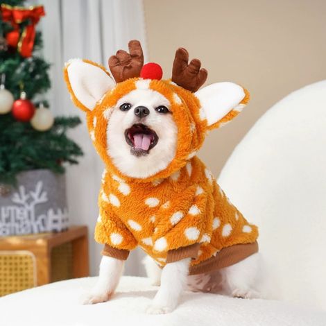 Costume De Noël Pour Chien - Cape En Polaire Avec Corne De Renne - Pour Chiens De Petite Et Moyenne Taille - Orange - Taille M (30 cm) (1/5)