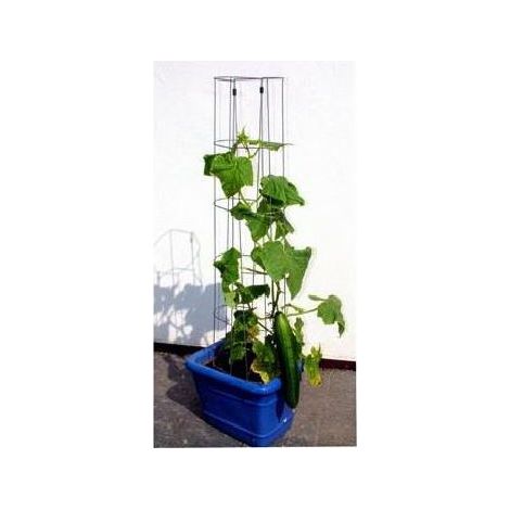 Bellissa Gurkenturm 120 cm hoch Spalier Rankhilfe Rankgitter