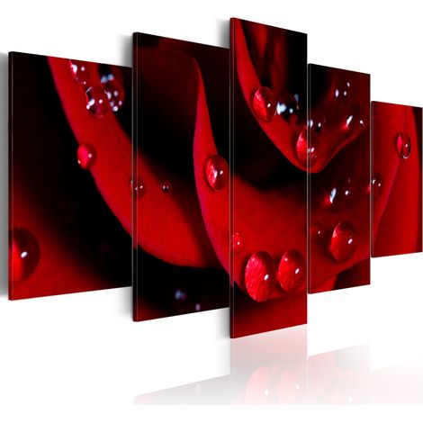 Quadro - Rosa con gocce di rugiada - 100x50 (1/4)