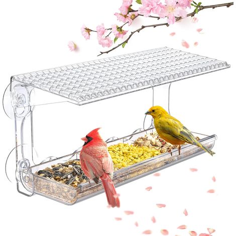 Mangeoire à oiseaux transparente pour fenêtre d'extérieur, fixée par ventouses puissantes, nichoir idéal pour observer les oiseaux sauvages (1/5)