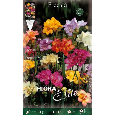 FREESIA DOUBLE MIX (CONFEZIONE DA 10 BULBI)