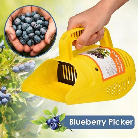 Outil De Ramassage Des Myrtilles - Peigne Métallique Avec Manche Ergonomique - Pour Jardin Et Récolte De Baies - 1 Pièce (1/5)