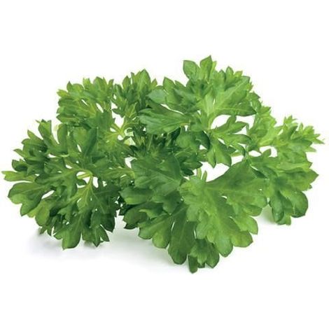 EMSA CLICK & GROW PERSIL (M5261000) CLICK AND GROW (1/2)
