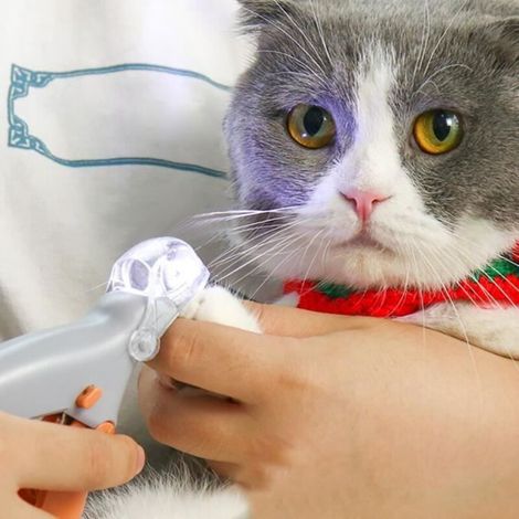 Professional Pet Nail Clippers - Dog and Cat Nail Trimmer Scissors with Light (1/3)