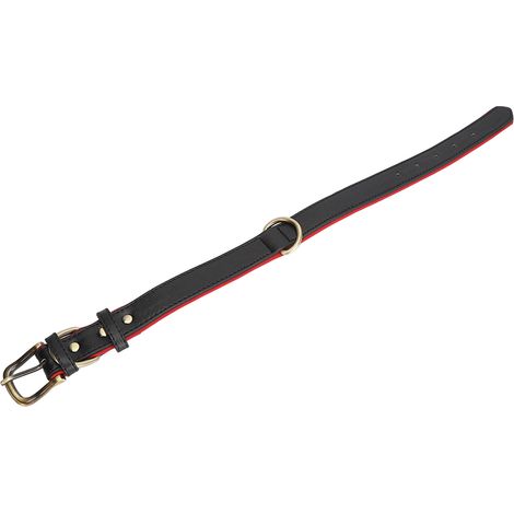 Collier pour chien en cuir PU, anti-perte, en néoprène respirant, pour chiens de taille moyenne (1/5)
