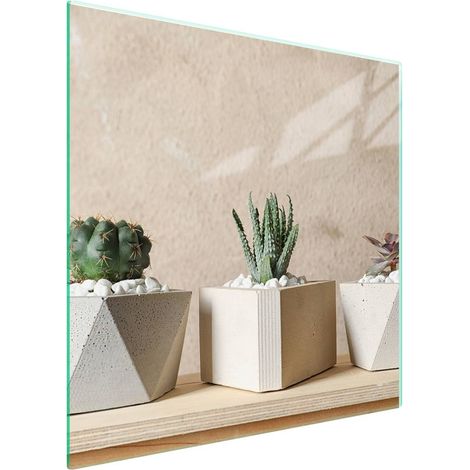 Protezione in vetro per piano cottura 50x52 Cactus (1/5)