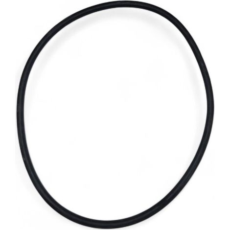 Joint torique de couvercle pour filtre a sable FSM - Fluidra (1/2)