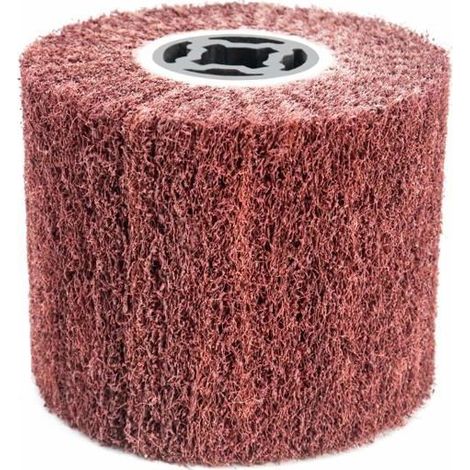 Brosse Abrasive Brosse en Fibre Synthétique pour Rénovateur Extérieur, Ø120x100x19mm, Grain 60 (1/5)