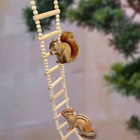 Wooden Bird Ladder Swing Bridge for Parakeets and Parrots, Climbing Toy for Small Animals, Cage Accessory for Hamsters, Squirrels, Rats, Conures, Cockatiels and Parakeets (1/4)