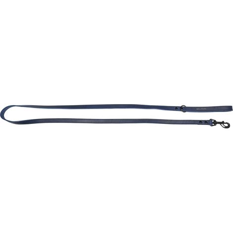 Laisse pour Chien 180 cm x 18 mm Bleu