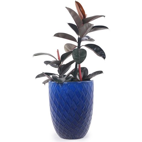 Pot de fleurs en céramique grand format 42 cm, bleu roi à motif losange, artisanal, avec trous de drainage, pour intérieur et extérieur, résistant au gel  CHICFURN (1/5)