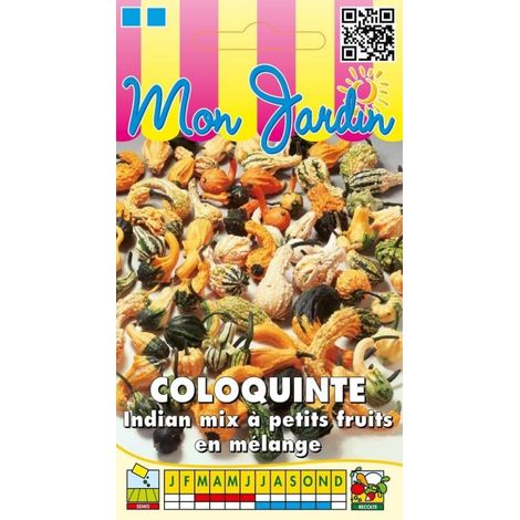 Coloquinte Indian Mix petits fruits - 3g