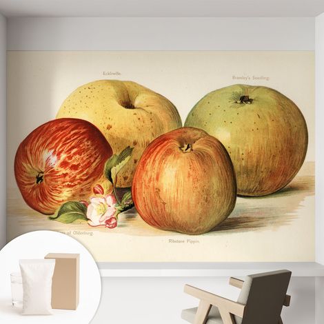 Tapete Vliestapete mit Kleber für Wohnzimmer Schlafzimmer Küche - Wanddekoration Äpfel und Blumen 152x104 cm (1/5)