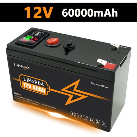 3S7P 1865 assembled plastic-cased battery, brand new with power display/dual USB ports/BMS - 60AH - 12.6V