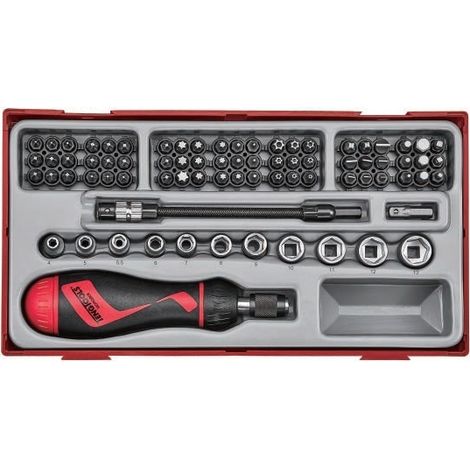 Juego de 84 piezas que incluye 1 destornillador con portapuntas TENGTOOLS TTMDR84 (1/2)