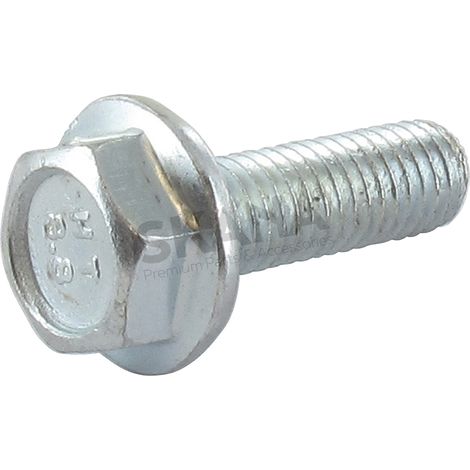 Vis M8x25 Origine Stiga. 9959-0825-16, 9959082516