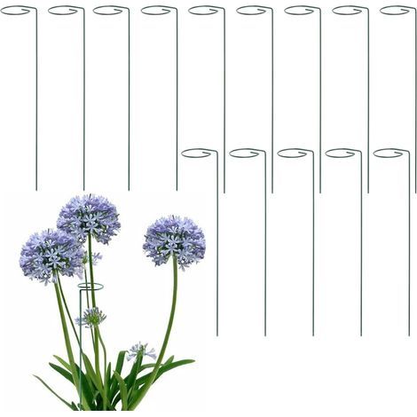 14 stuks, 40 cm, kleine plantensteun, struiksteun, bloemensteun, staal, enkele steunring, orchideeënstaaf voor planten, bloemen, tulpen, roos, lelie, tomaten (1/5)