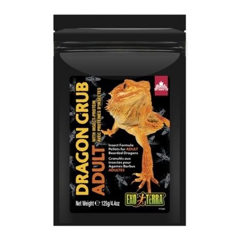Exo Terra Dragon Grub Adulto, 125g