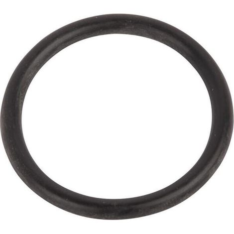 O-Ring CNH 14463680