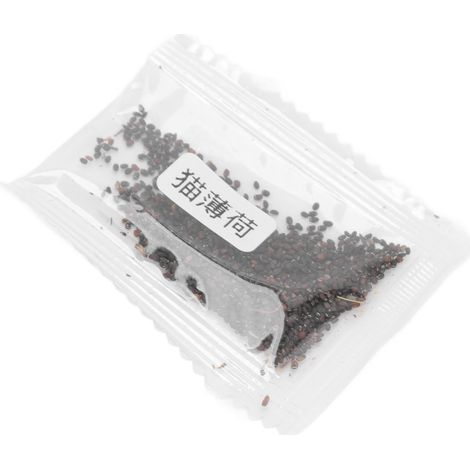 50 g de graines de cataire à croissance vigoureuse, adaptées aux chats, pour une température de 18 à 22 °C. Collection de graines de plantes pour chats. (1/5)