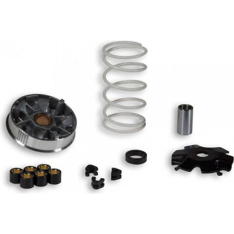 malossi variator für roller kymco 50 sniper 51 7484 / multivar (1/4)