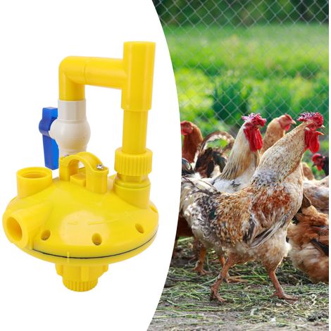 2-Wege-Druckregler mit automatischem Erhöhungs-/Reduzierventil für Huhn, Ente und Kaninchen G3/4 Zoll (1/5)