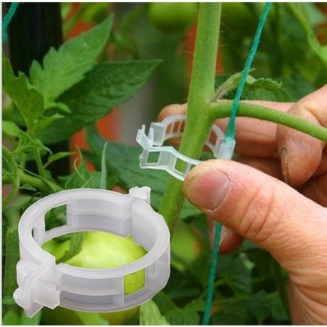 100PCS Support de plantes Clips de jardin Clips de tomate Prend en charge / relie les plantes / fic (1/5)