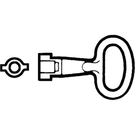 Schneider Electric DOPPELBARTSCHLÜSSEL 5MM METALL (NSYLDB5)
