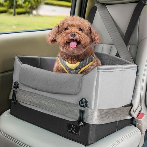 Hundeautositz Sitzerhöhung für kleine Hunde, faltbar, waschbar, Grau (1/5)