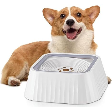 Water Dispenser for Dogs, Splash-Proof Dog Water Bowl, Anti-drool Bowl, Large Food Bowl at Home (1/3)
