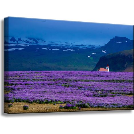 Leinwanddruck Natur Lavendelfeld 60x40 cm Lila Blüten