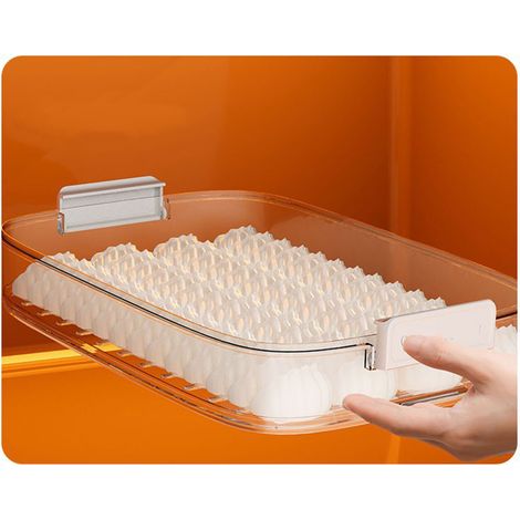 Boîte de rangement pour dumplings et aliments Boîte organisatrice transparente PP 31x22x6.5cm avec couvercle hermétique pour réfrigérateur et cuisine (1/5)