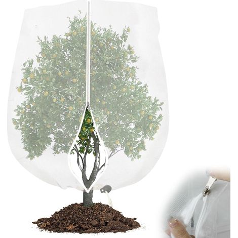Grand Sac de Filet Arbre fruitier, Filet Anti Oiseaux réutilisable Filet Anti Insecte, Filet Anti Insecte Potager à Cordon,Protection Les Fruits(10 Pieds x 10 Pieds),Large Fruit Tree Netting Bags