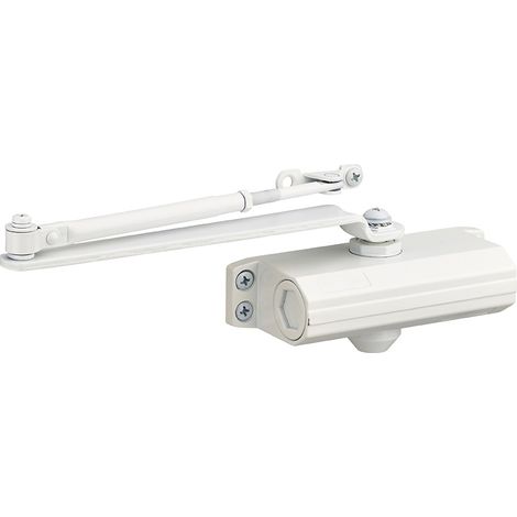 Chiudiporta spingiporta idraulico automatico reversibile, portata 60kg, forza 3, bianco - THIRARD